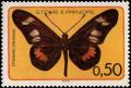Colnect-5564-373-Acraea-Butterfly-Acraea-newtoni.jpg