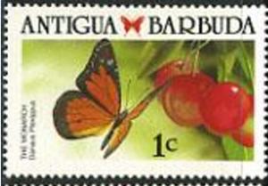Colnect-1953-762-Monarch-Butterfly-Danaus-plexippus.jpg