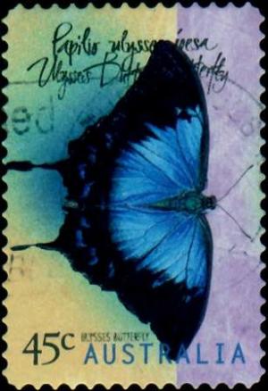 Colnect-2013-443-Blue-Emperor-Butterfly-Papilio-ulysses-joesa.jpg