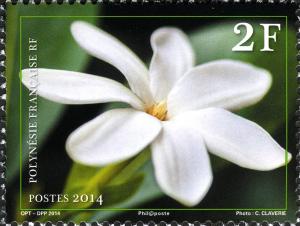 Colnect-3034-261-Tiar-eacute--Gardenia-taitensis.jpg
