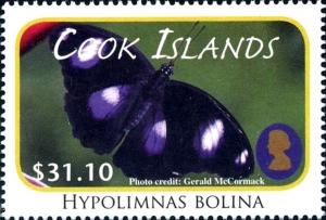 Colnect-3505-008-Blue-Moon-Butterfly-Hypolimnas-bolina.jpg