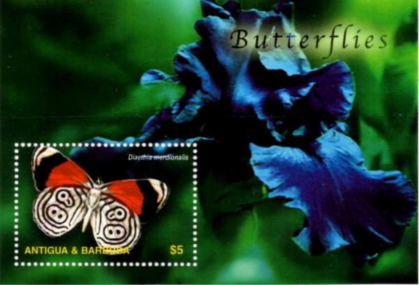 Colnect-2059-509-Eighty-eight-Butterfly-Diaethria-merdionalis.jpg