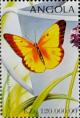 Colnect-2245-889-Alfalfa-Butterfly-Colias-eurytheme.jpg