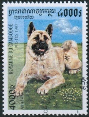 Colnect-1562-349-Akita-Inu-Canis-lupus-familiaris.jpg