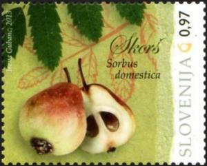 Colnect-4986-871-Fruit-varieties-in-Slovenia.jpg