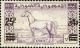 Colnect-1481-460-New-value-on-Arab-Horse.jpg