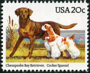 Colnect-5093-898-Chesapeake-Bay-Retriever-Cocker-Spaniel-Canis-lupus-famili.jpg
