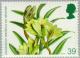 Colnect-122-892-Dendrobium-vexillarius-var-albiviride.jpg