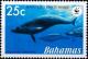 Colnect-4135-004-Blaineville-s-beaked-whales.jpg