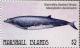 Colnect-6220-618-Blainville-s-Beaked-Whale.jpg