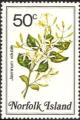 Colnect-2167-362-Jasminum-volubile---Stiff-jasmine.jpg