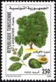 Colnect-4511-187-Avocado-pear-tree.jpg