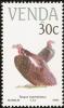 Colnect-751-647-Lappet-faced-Vulture-Torgos-tracheliotus.jpg