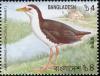 Colnect-1421-755-White-breastes-Waterhen-Amaurornis-phoenicurus.jpg