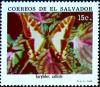 Colnect-2271-727-Yellow-Kite-Swallowtail-Eurytides-calliste.jpg