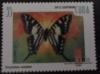 Colnect-4089-725-Cuban-Kite-Swallowtail-Eurytides-celadon.jpg