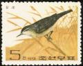 Colnect-2130-125-Black-browed-Reed-Warbler-Acrocephalus-bistrigiceps.jpg