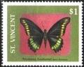 Colnect-2549-199-Polydamas-Swallowtail-Battus-polydamas.jpg