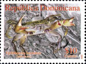 Colnect-1610-831-Hispaniolan-Freshwater-Crab-Epilobocera-haytensis.jpg