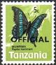 Colnect-2614-902-Horniman-s-Swallowtail-Papilio-hornimani.jpg