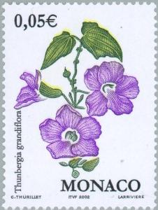 Colnect-150-160-Blue-Skyflower-Thunbergia-grandiflora.jpg