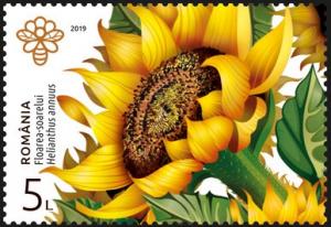 Colnect-5883-890-Sunflower-Helianthus-annuus.jpg