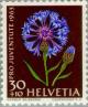Colnect-140-231-Cornflowers-Centaurea-cyanus.jpg