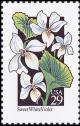 Colnect-5103-792-WildflowersSweet-White-Violet.jpg
