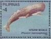 Colnect-4946-461-Sperm-Whale-Physeter-catodon.jpg