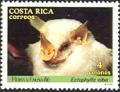 Colnect-2199-114-Honduran-White-Bat-Ectophylla-alba.jpg