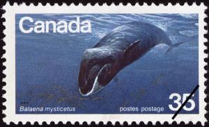 Colnect-2418-018-Bowhead-Whale-Balaena-mysticetus.jpg