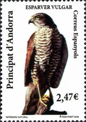 Colnect-685-506-Sparrowhawk-Accipiter-nisus.jpg