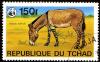 Colnect-1459-665-African-Wild-Ass-Equus-africanus.jpg