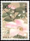 Colnect-1555-069-Winter-Camellias.jpg