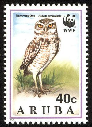 Colnect-579-869-WWF-Burrowing-owl-Adult-with-prey.jpg