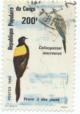 Colnect-1343-068-Yellow-shouldered-Widowbird--Coliuspasser-macrourus.jpg