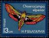 Colnect-1213-599-Elephant-Hawk-Moth-Choerocampa-elpenor.jpg