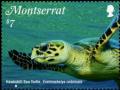 Colnect-5612-244-Hawksbill-Sea-Turtle.jpg