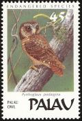 Colnect-1638-002-Palau-Owl-Pyrroglaux-podargina.jpg