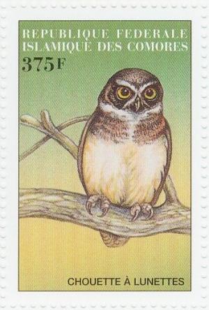 Colnect-3669-560-Spectacled-Owl%C2%A0Pulsatrix-perspicillata.jpg