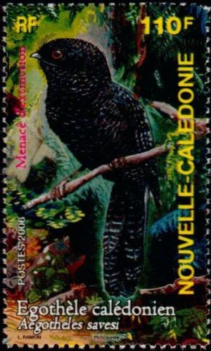 Colnect-858-818-New-Caledonian-Owlet-nightjar-Aegotheles-savesi.jpg