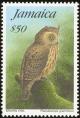 Colnect-1700-687-Jamaican-Owl%C2%A0Pseudoscops-grammicus-.jpg
