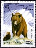 Colnect-2198-473-European-Brown-Bear-Ursus-arctos-arctos.jpg