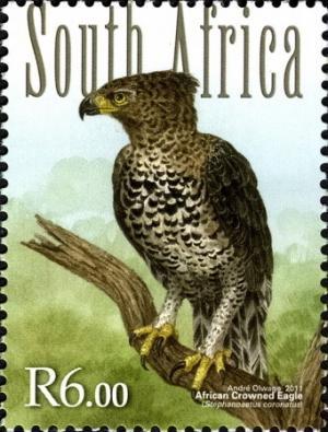African-Crowned-Eagle.jpg