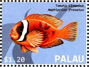 Colnect-4910-049-Tomato-Clownfish-Amphiprion-frenatus.jpg