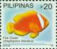Colnect-2914-172-Tomato-Clownfish-Amphiprion-frenatus.jpg