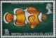 Colnect-3960-313-Orange-Clownfish-Amphiprion-percula.jpg