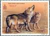 Colnect-1271-365-Wolf-Canis-lupus.jpg