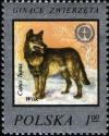 Colnect-2236-034-Wolf-Canis-lupus.jpg