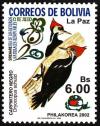 Colnect-5174-658-Black-bodied-Woodpecker-Dryocopus-schulzi.jpg